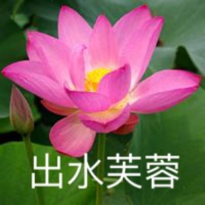 风之太陆游戏下载